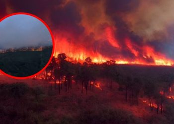 Unos 170 incendios en Georgia y Florida provocan evacuaciones y destruyen 49 viviendas