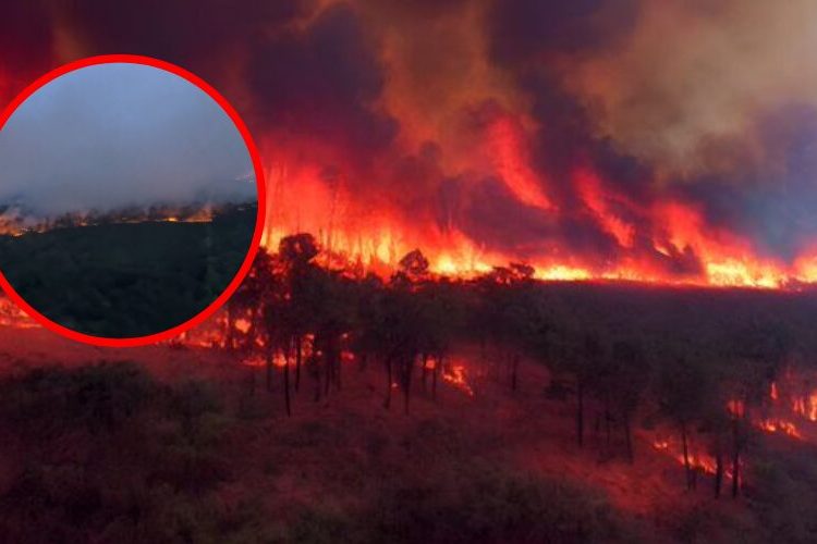 Unos 170 incendios en Georgia y Florida provocan evacuaciones y destruyen 49 viviendas