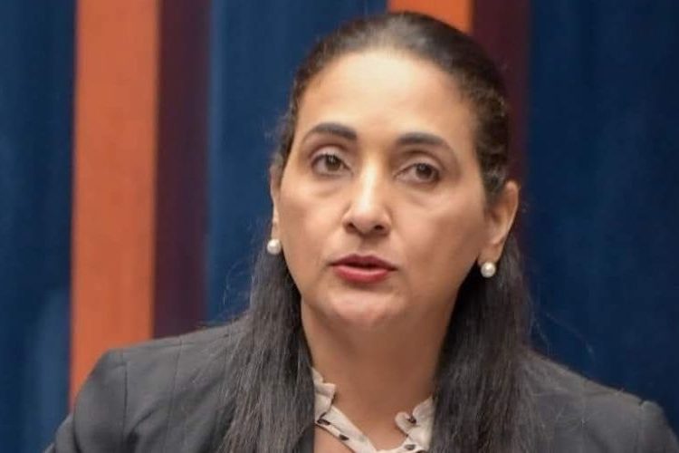 Senadora Lía Díaz reitera solicitud al presidente Luis Abinader para instalación de zona franca en Azua