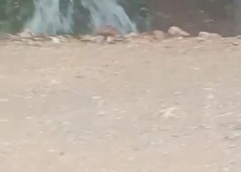 Loma Atravesada: una deuda social de más de 50 años en Las Galeras, Samaná