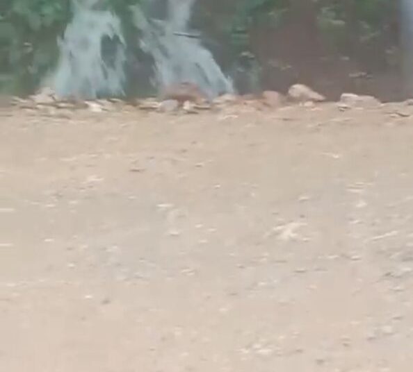 Loma Atravesada: una deuda social de más de 50 años en Las Galeras, Samaná