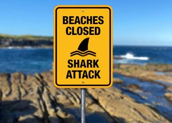 Australia cierra varias playas en Sídney por riesgo de ataques de tiburón