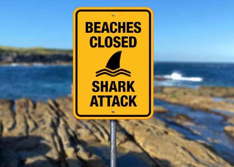 Australia cierra varias playas en Sídney por riesgo de ataques de tiburón