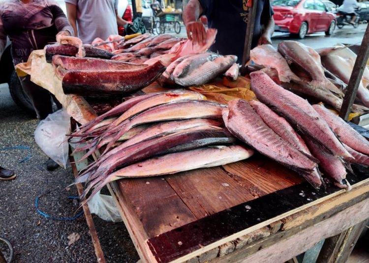 Vendedores de pescado aseguran que los costos se han mantenido; precios rondan desde RD$200 la libra