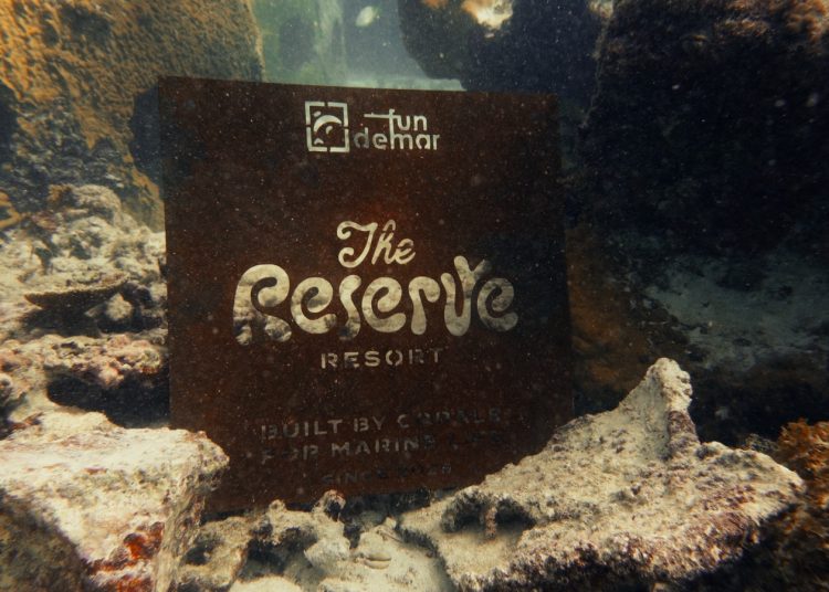 Crean en RD un “hotel” submarino para preservar arrecifes y especies marinas