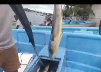 Indignación entre pescadores de San Pedro de Macorís por acusaciones de narcotráfico