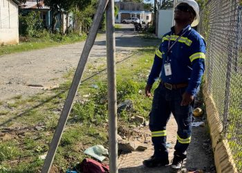 Edeeste aclara muerte de yegua en Sabana Grande de Boyá se debió a conexión ilegal