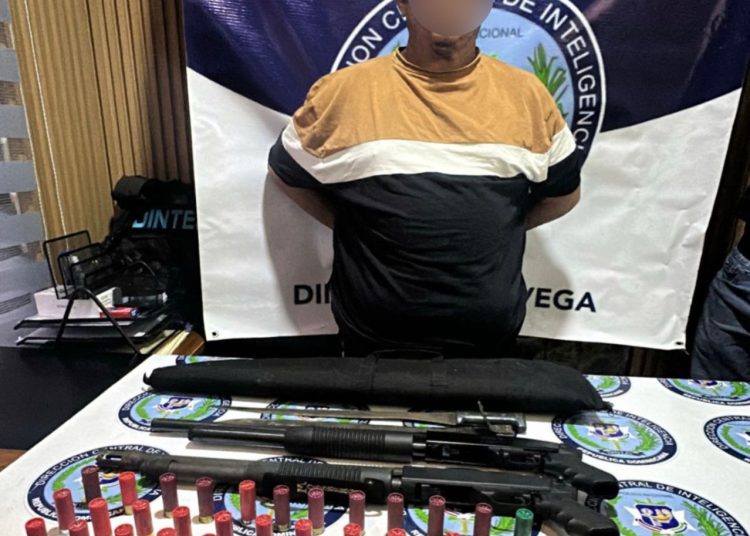 Dintel ocupa dos armas de fuego durante allanamiento en La Vega