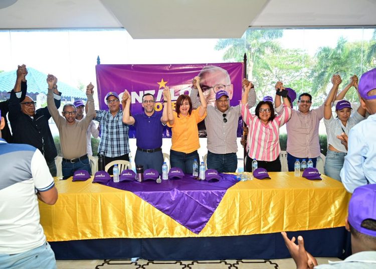 Proyecto presidencial de Gonzalo Castillo realiza encuentros durante este fin de semana