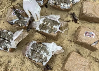 DNCD y Armada incautan 19 pacas de hachís en operativo en Miches