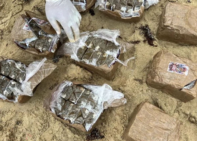 DNCD y Armada incautan 19 pacas de hachís en operativo en Miches