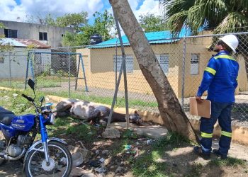 Descarga eléctrica mata yegua valorada en US$15,000 cerca de una escuela en Sabana Grande de Boyá