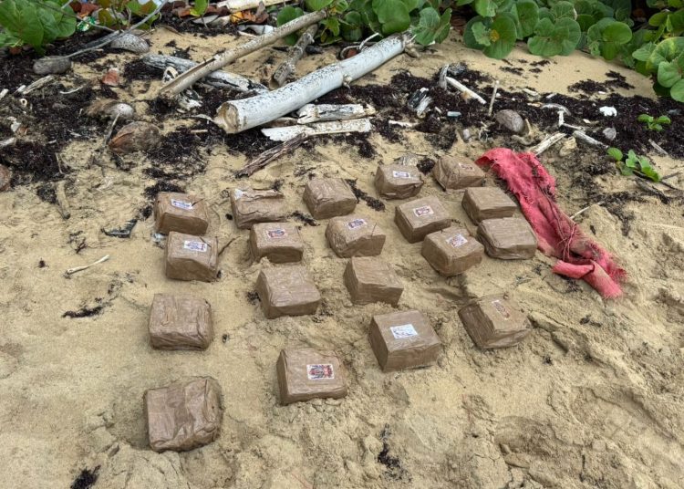 Autoridades incautan 19 pacas de hachís en costas de Miches
