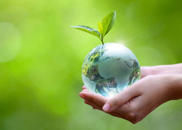 Día de la Tierra: ¿Por qué es importante y desde cuándo se conmemora?