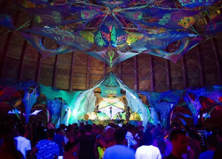 El mayor estudio sobre drogas psicodélicas revela cómo estas reorganizan el cerebro humano