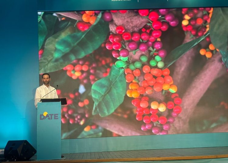 ¿Qué hace diferente a Dominicania en la oferta turística de Punta Cana?