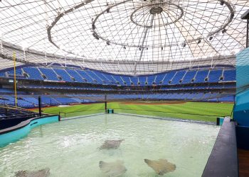 Rays regresan al Tropicana Field tras 561 días de ausencia