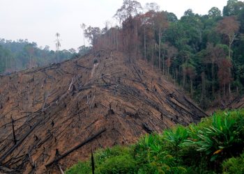 Alemania endurece las penas y multas por graves delitos medioambientales