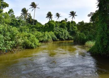 Tragedia enluta a Dajabón: adulto mayor muere en río de La Luisa