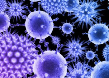 29 de abril: Día Internacional de la Inmunología