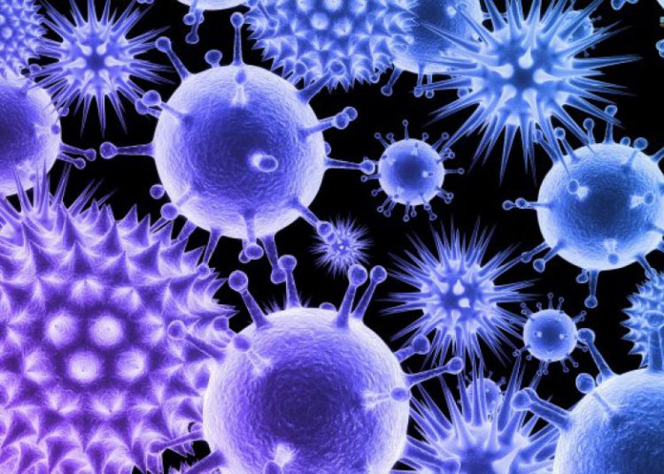 29 de abril: Día Internacional de la Inmunología