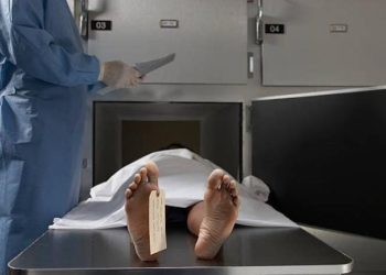 Bolivia registra 35 feminicidios en lo que va de año, cuatro ocurridos en la última semana