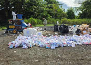 Inacif destruye más de 960 kilogramos de drogas ocupadas en operativos antinarcóticos
