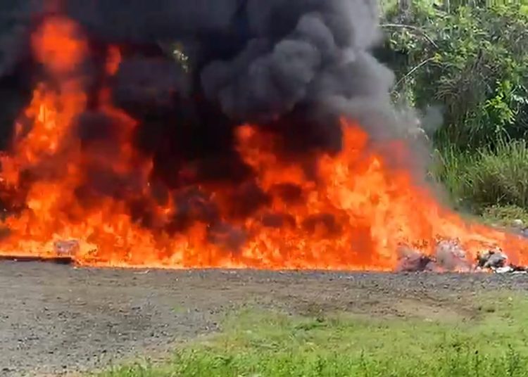 El Inacif destruye más 1,400 kilogramos de distintas drogas