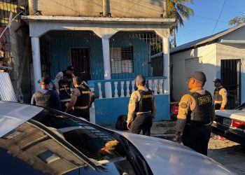 DNCD decomisa más de 783 mil gramos de drogas y 31 armas en abril