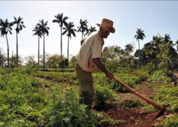 Día del Agricultor en República Dominicana
