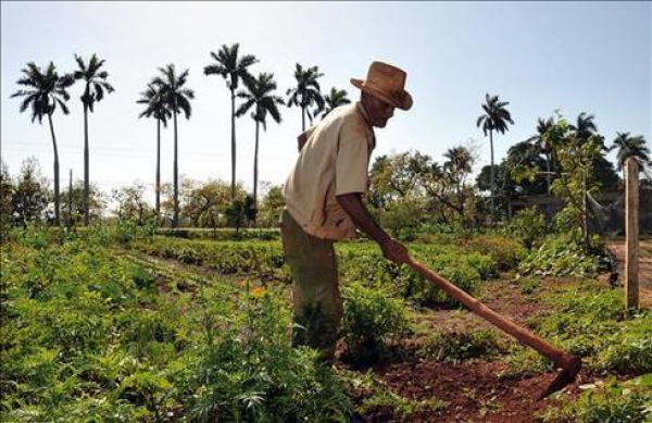 Día del Agricultor en República Dominicana