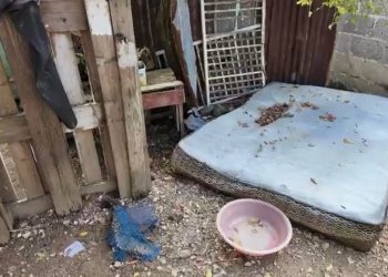 Residentes de Los Girasoles alzan la voz por pérdidas y temor tras inundaciones por lluvias