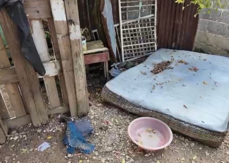 Residentes de Los Girasoles alzan la voz por pérdidas y temor tras inundaciones por lluvias