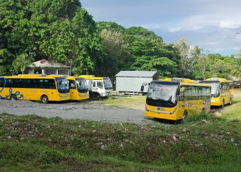 Denuncian «cementerio» de autobuses escolares del programa TRAE en Samaná.