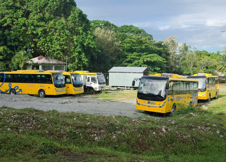 Denuncian «cementerio» de autobuses escolares del programa TRAE en Samaná.