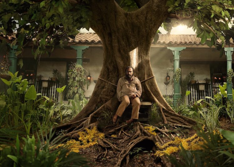 Netflix estrenará el 5 de agosto la segunda parte de Cien años de soledad
