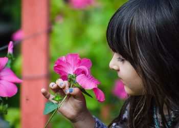 18 de mayo: Día Internacional de la Fascinación por las Plantas