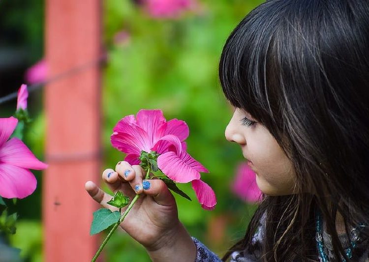 18 de mayo: Día Internacional de la Fascinación por las Plantas