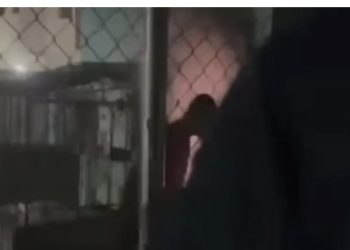 Corto circuito provoca incendio y desata pánico en play de sóftbol de Monte Plata