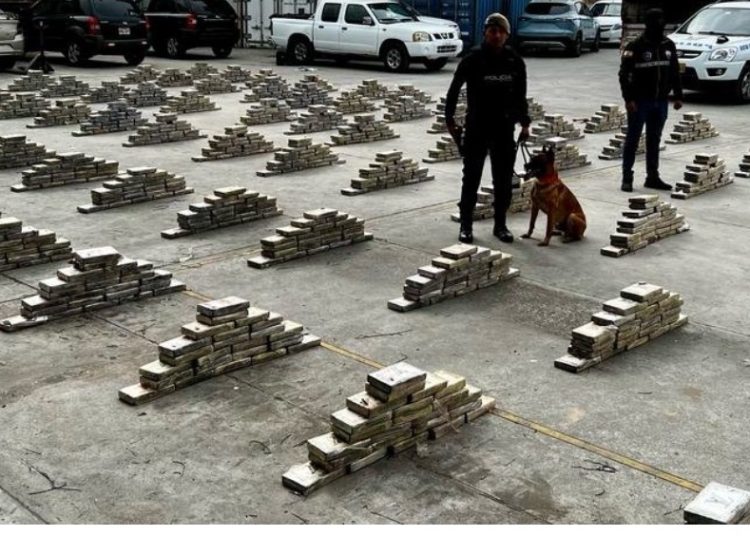 Ecuador decomisa toneladas de cocaína que iba a Europa