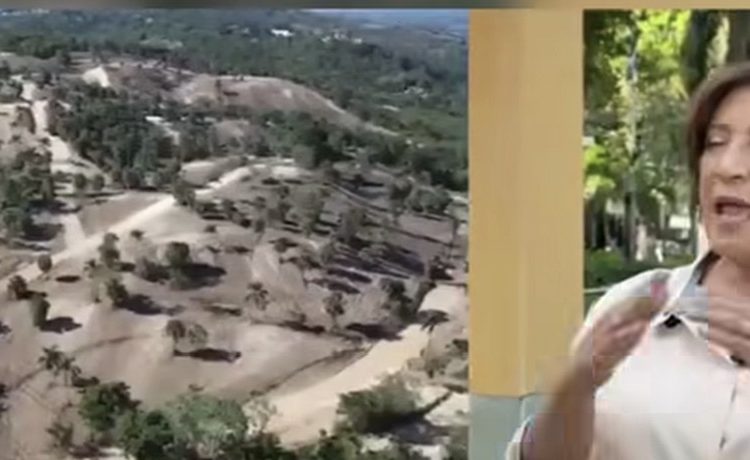 Alcaldesa de La Vega condena “ecocidio” tras tala de árboles en comunidades del Santo Cerro