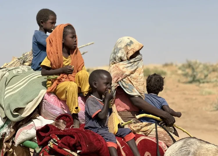 Más de 82 millones de personas son desplazados internos por guerras y desastres naturales en el mundo