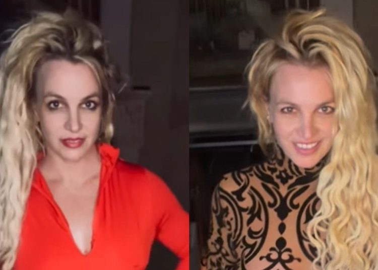 Britney Spears hablaba de forma errática y tenía cambios de humor drásticos cuando fue detenida