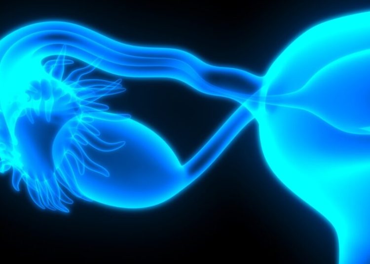 Día Mundial del Cáncer de Ovario: Concienciación y Esperanza