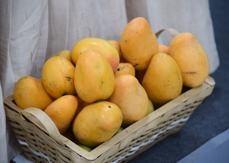 Expo Mango 2026 impulsará la innovación, la inocuidad y la comercialización del mango dominicano