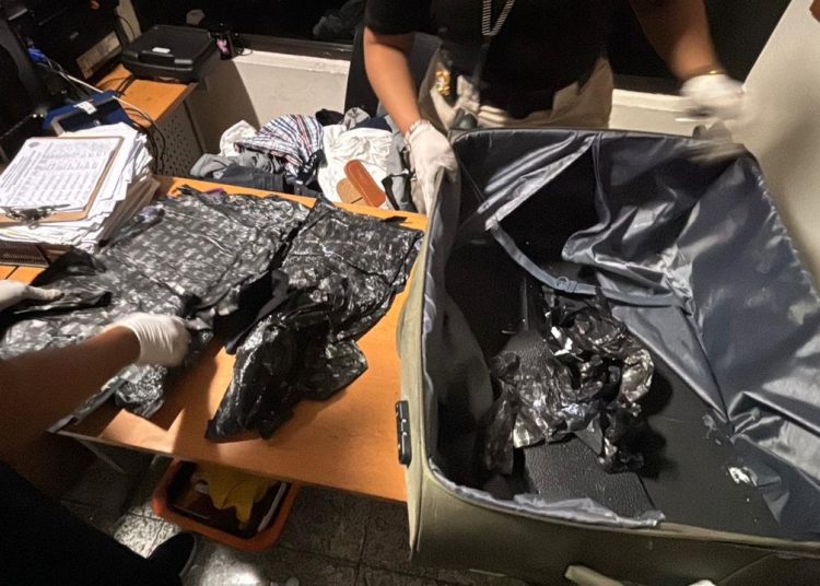 DNCD impide viaje de extranjera con presunta cocaína oculta en maletas