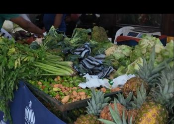 Inespre ofrece alimentos a precios reducidos en jornada especial en Cristo Rey