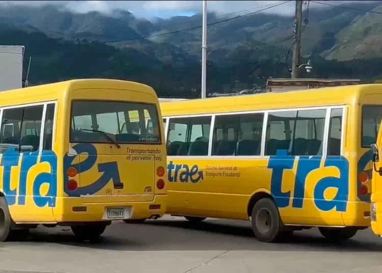 Roban baterías de transporte escolar y dejan a estudiantes sin poder asistir a clases en Constanza