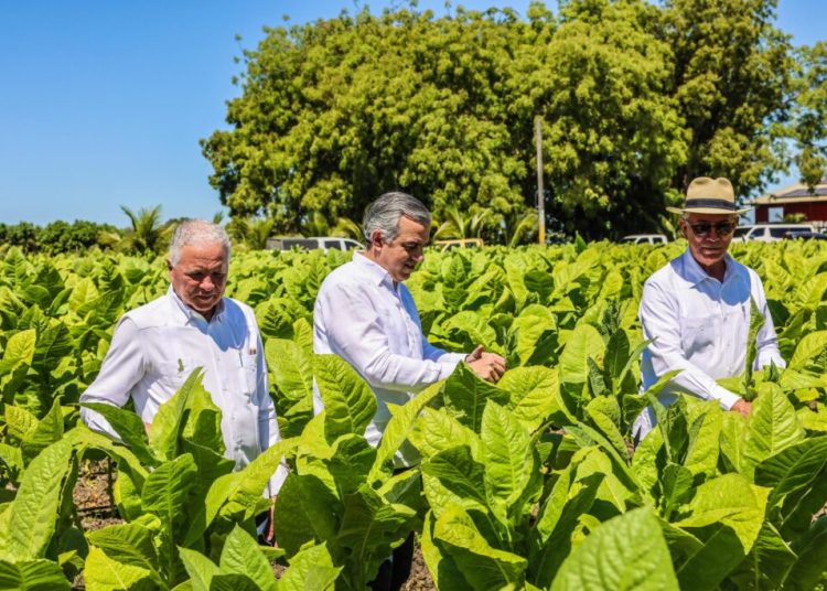 RD reporta 1.359 millones de dólares en exportaciones de tabaco en 2025