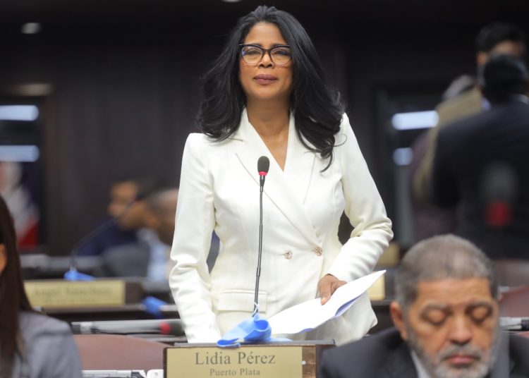 Diputada Lidia Pérez somete proyectos para reforzar la libertad de expresión y eliminar penas de prisión por opiniones